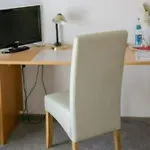 Affittacamere Haus Am Park 3*