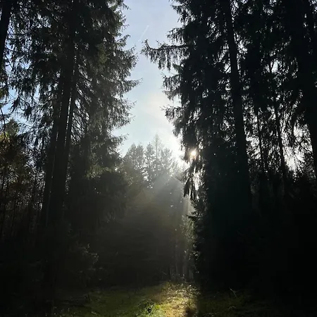 Haus Am Park Affittacamere